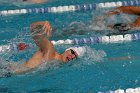 Swimming vs Bentley  Wheaton College Swimming & Diving vs Bentley College. - Photo by Keith Nordstrom : Wheaton, Swimming & Diving